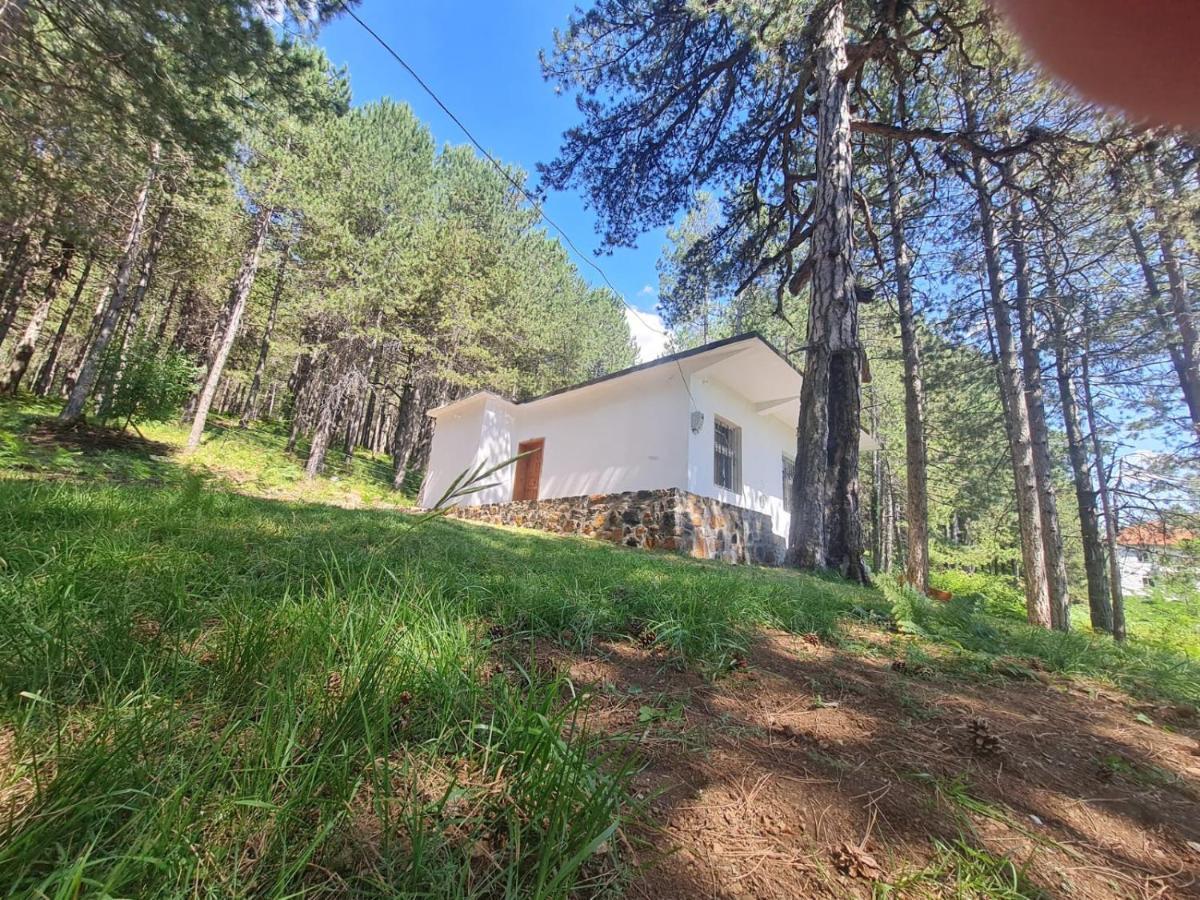Bujtinat Skenderi Gjinar 2 Villa Exterior photo